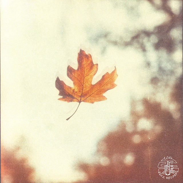 'Deciduous' cover art