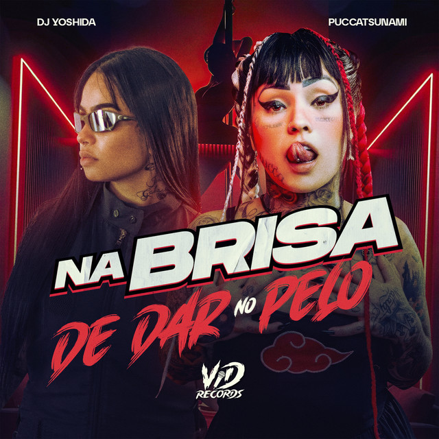 'NA BRISA DE DAR NO PELO' cover art