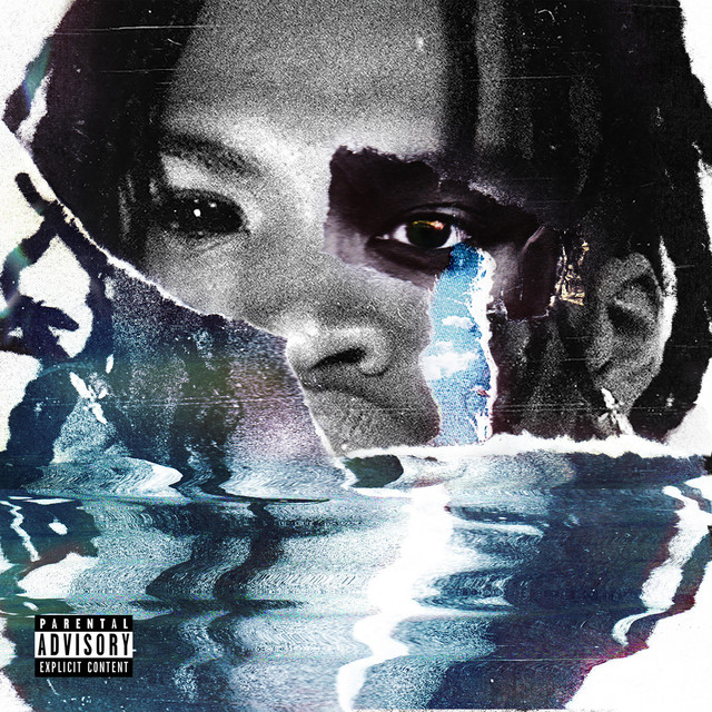 'FRIEND OR FOUX' cover art