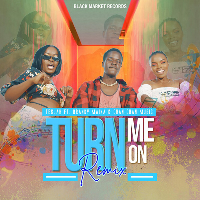 'Turn Me On (Remix)' cover art