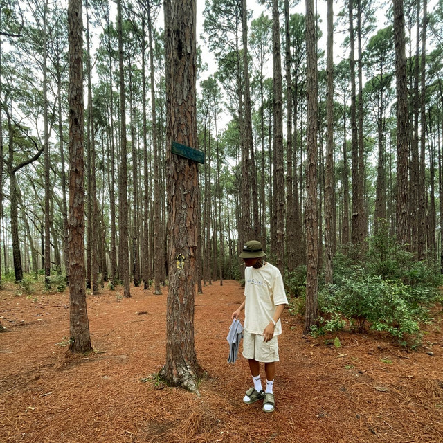 'Duvido' cover art
