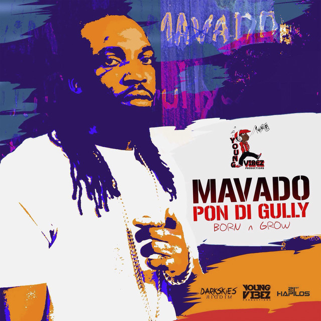 'Pon Di Gully (Born & Grow)' cover art