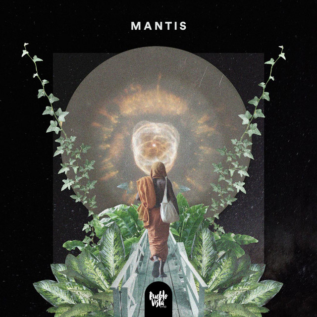 'MANTIS' cover art