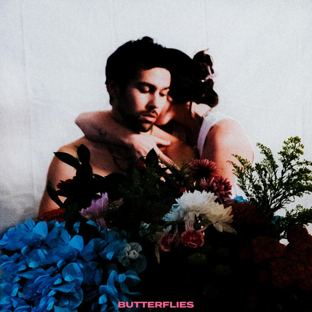 'Butterflies (feat. FLETCHER)' cover art