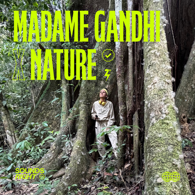 'Amazon Awakening (Radio Edit)' cover art