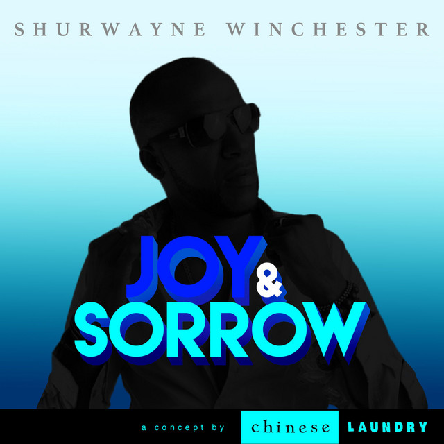 'Joy & Sorrow' cover art