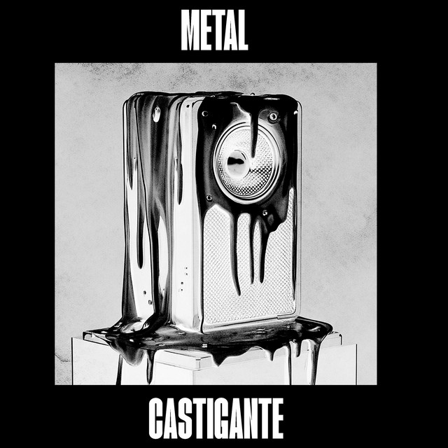 'MTG Metal Castigante' cover art