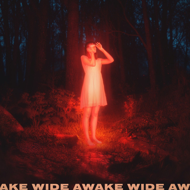 'Wide Awake' cover art