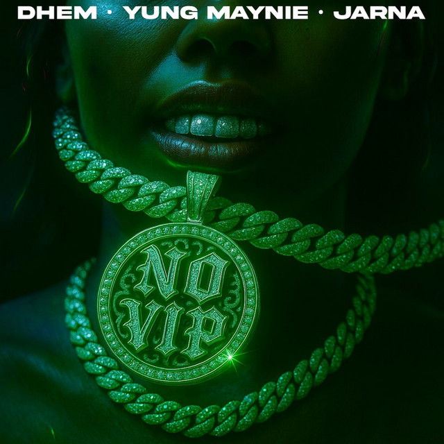 'NO VIP' cover art