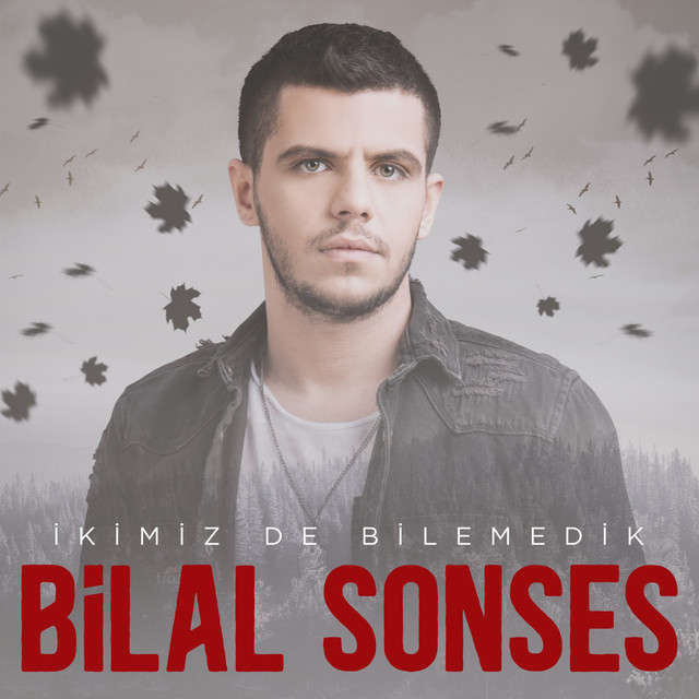 'İkimiz de Bilemedik' cover art