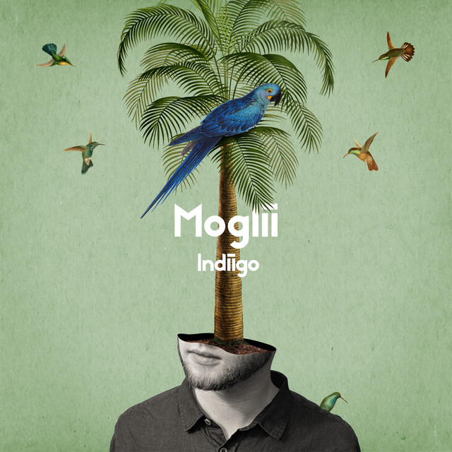 'Indiigo' cover art