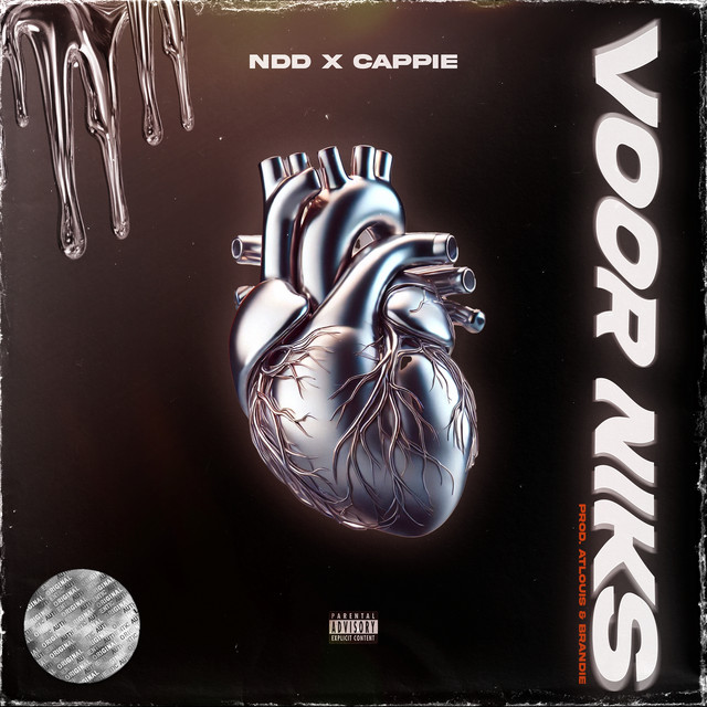 'Voor Niks' cover art