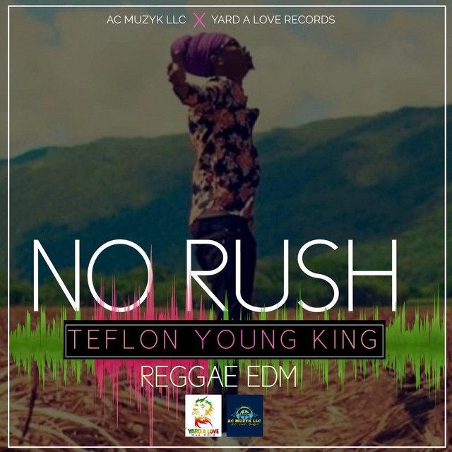 'NO RUSH REGGAE ED' cover art