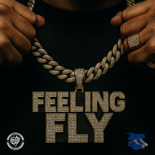 'Feeling Fly' cover art
