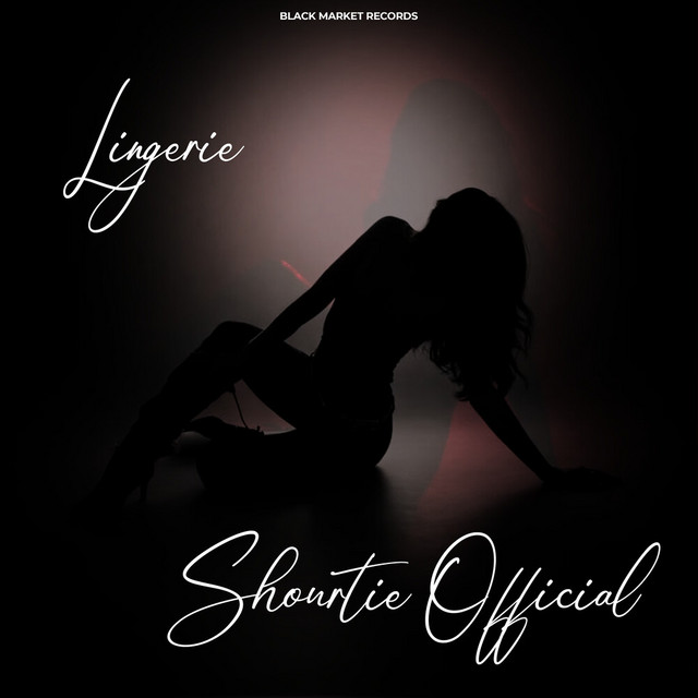 'Lingerie' cover art