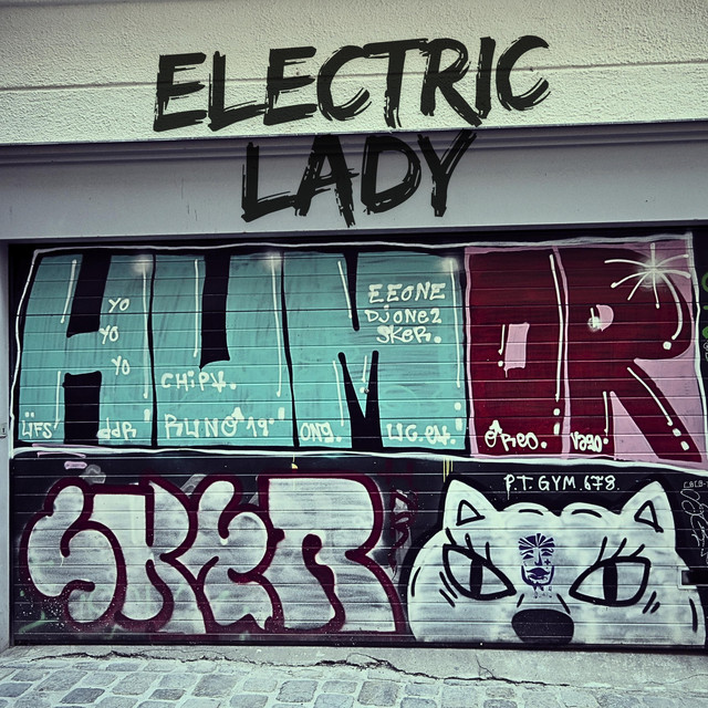 'Electric Lady' cover art