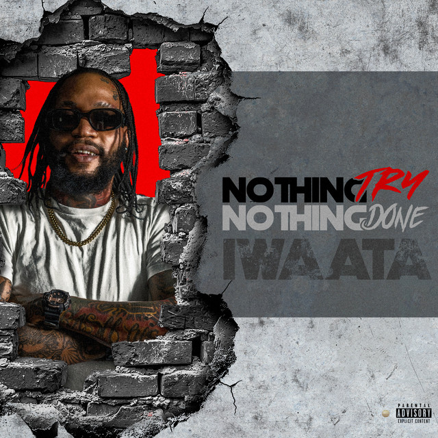 'Nothing Try Nothing Done' cover art