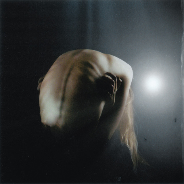 'i want the light to swallow me whole' cover art