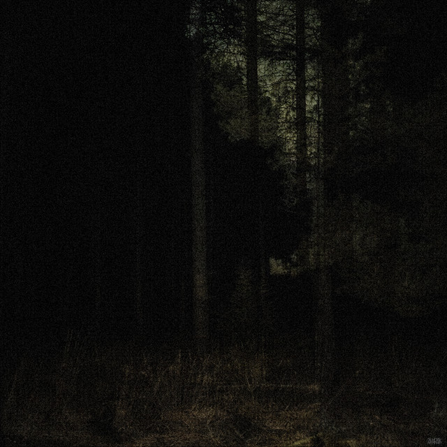 'TREPIDATION' cover art