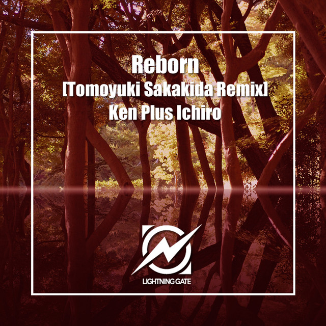 'Reborn (Tomoyuki Sakakida Remix)' cover art