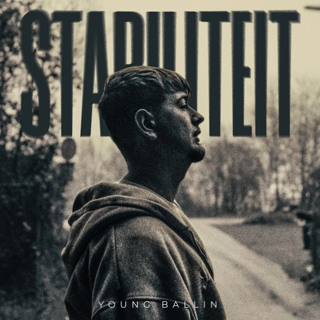 'Stabiliteit' cover art