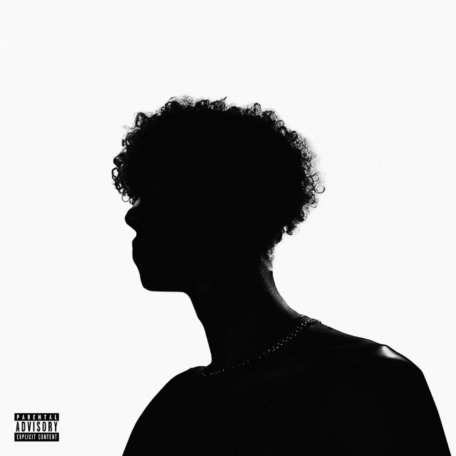 'Vraagtekens' cover art