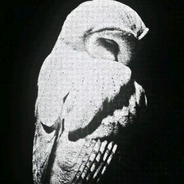 'vip' cover art