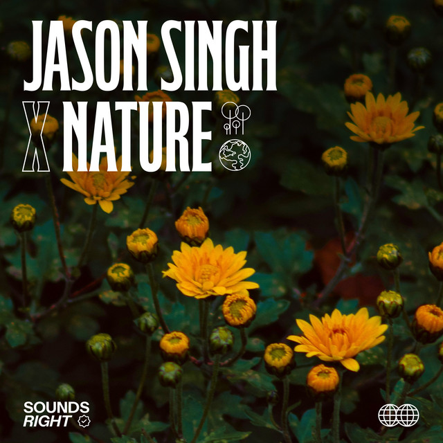 'Nature's Voice I' cover art