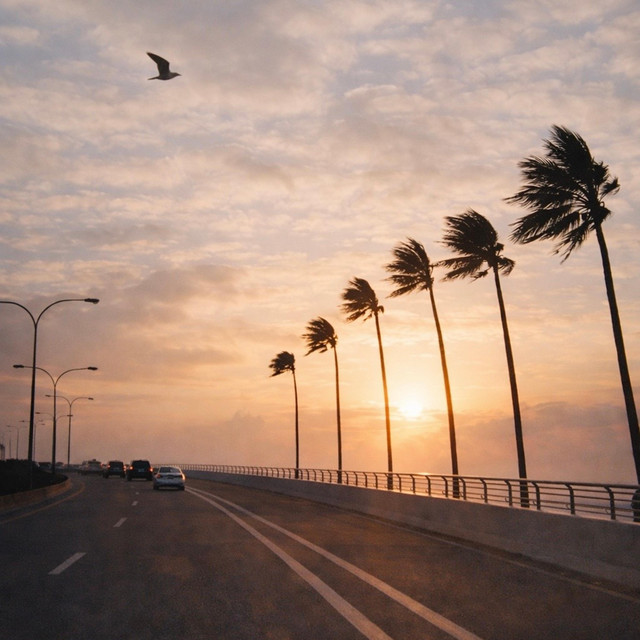 'first light' cover art