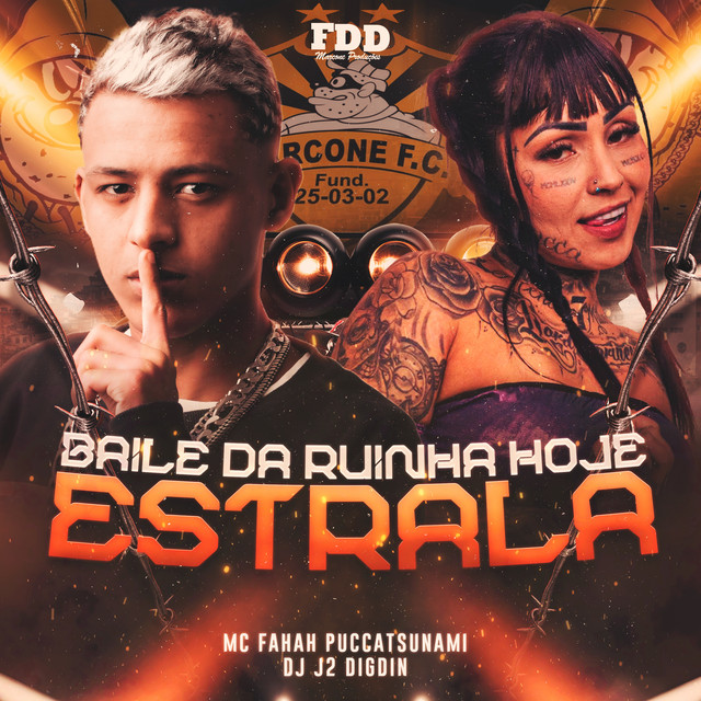 'Baile Da Ruinha Hoje Estrala' cover art