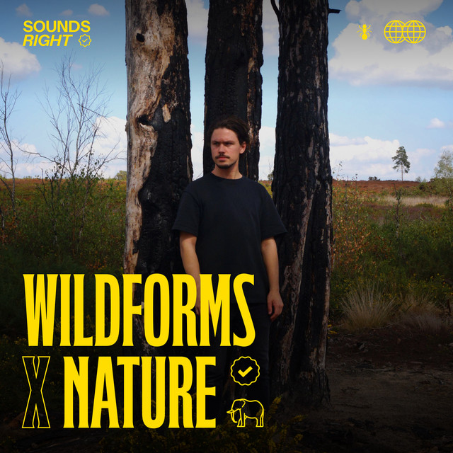 'Nightingale (feat. NATURE)' cover art