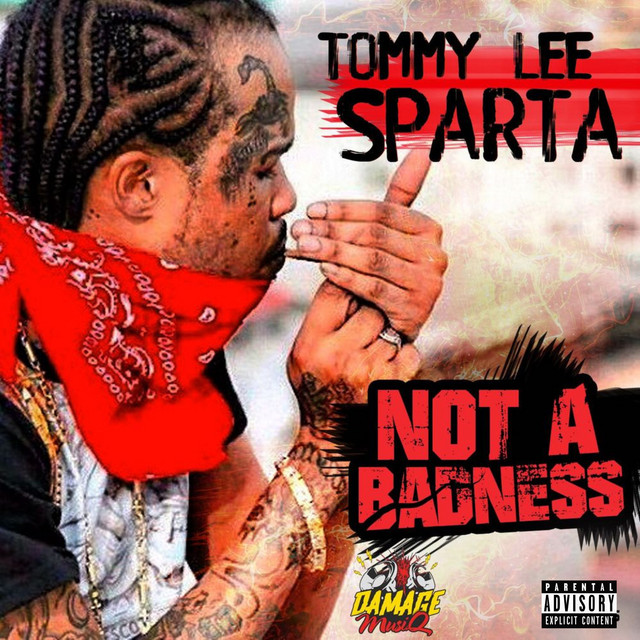 'Not a Badness' cover art