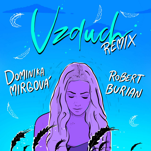 'Vzduch (Remix)' cover art