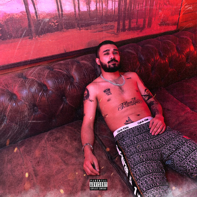 'Geri Ver' cover art