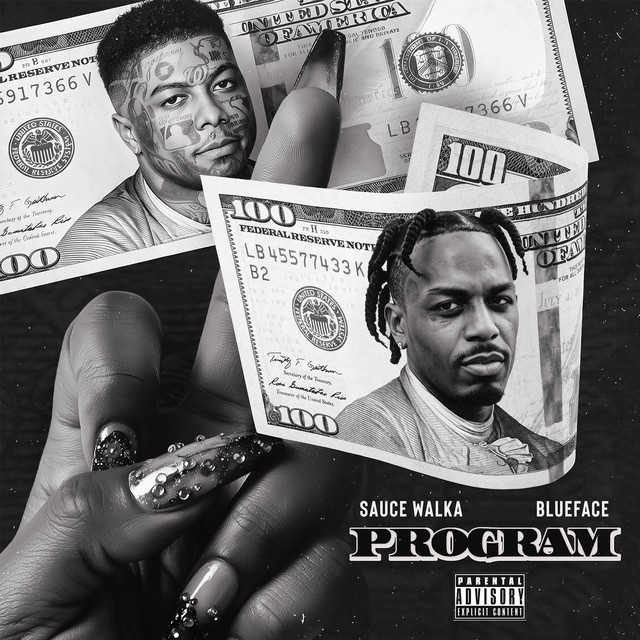 'Program' cover art