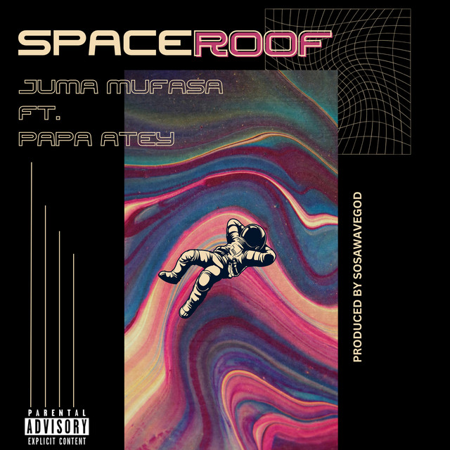 'Space Roof' cover art