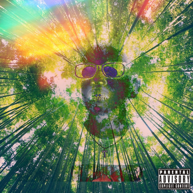 'Back Flippin' (BASSMIX)' cover art