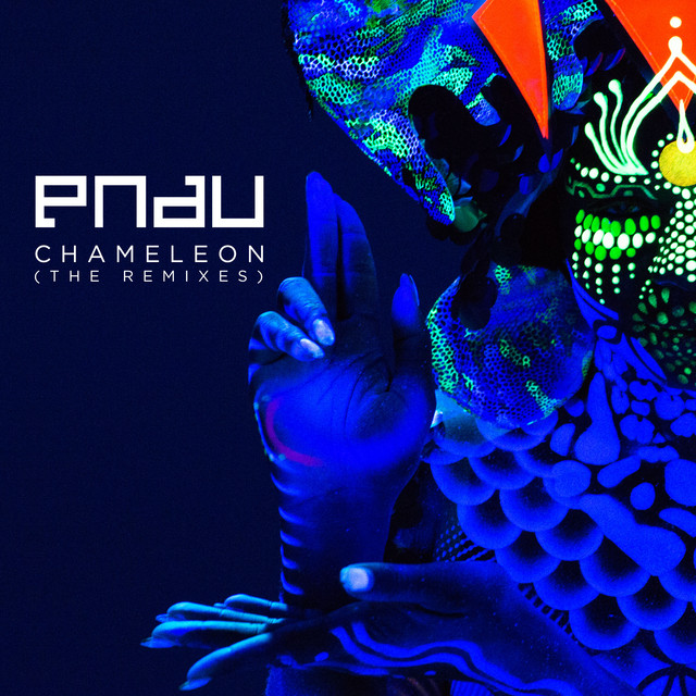 'Chameleon (The Remixes)' cover art