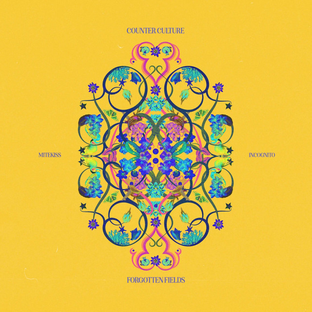 'Forgotten Fields' cover art