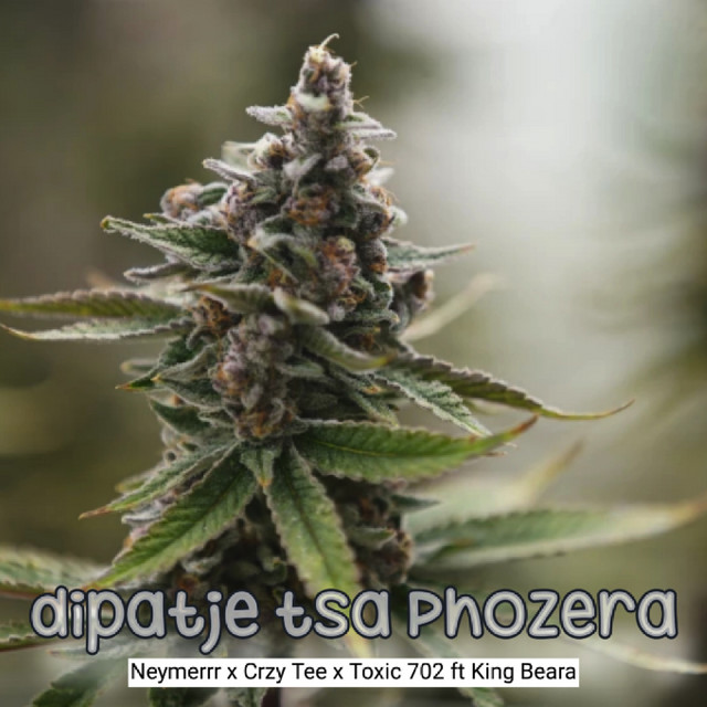 'Dipatje Tsa Phozera' cover art