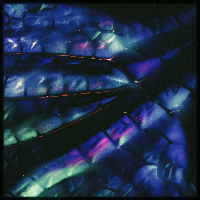 'Tombo' cover art