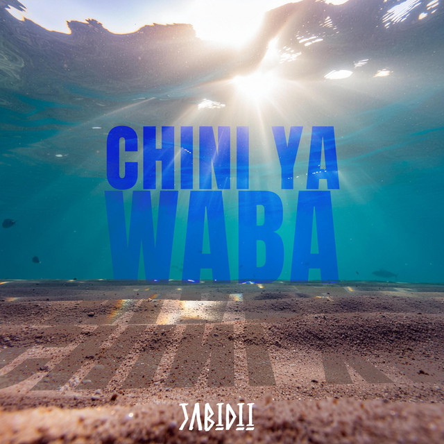 'Chini Ya Waba' cover art
