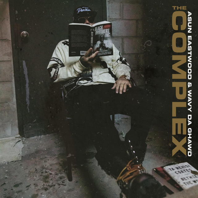 'The Complex' cover art