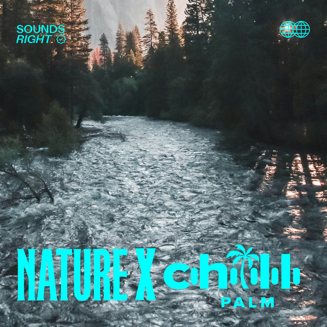 'Soothing River Sounds' cover art