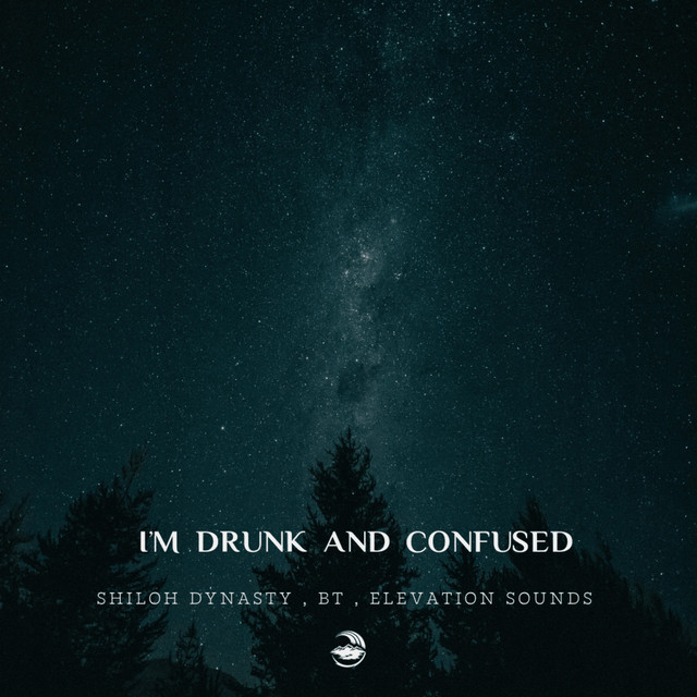 'I'm drunk and Confused' cover art