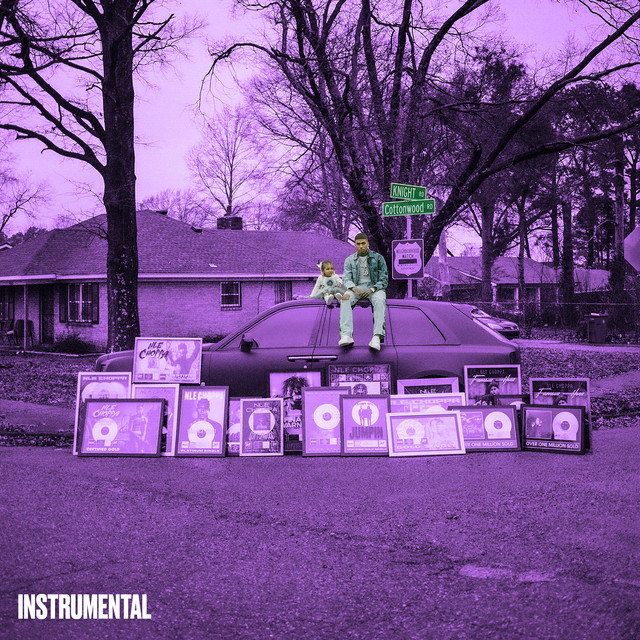 'Cottonwood 2 (Instrumental)' cover art