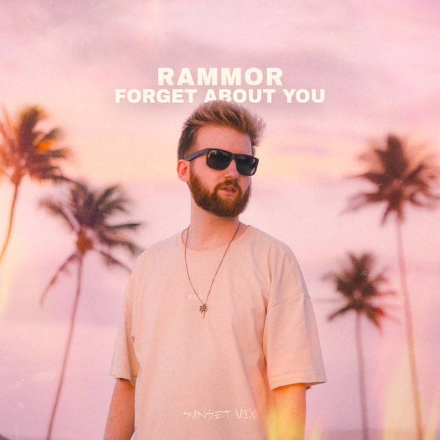 'Forget About You (Sunset Mix)' cover art