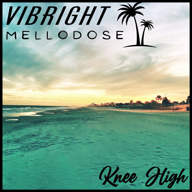 'Knee High' cover art