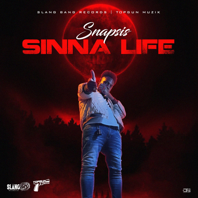 'Sinna Life' cover art