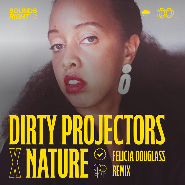 'Shifting Shalestones (Felicia Douglass Remix)' cover art